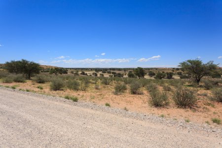 Foto de Panorama del Parque Nacional Kgalagadi, Sudáfrica - Imagen libre de derechos