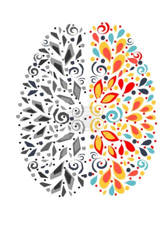 Illustration for The concept of the left and right hemispheres of the human brain. Creative and analytical side.  Vector illustration - Royalty Free Image