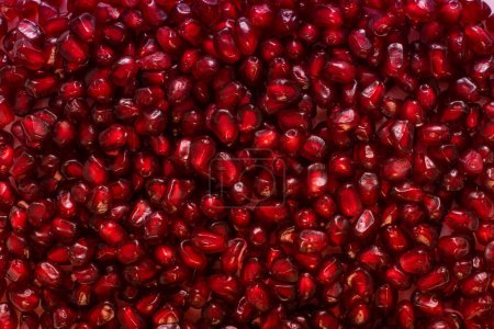 vibrantes semillas de pomgranato rojo de cerca disparo