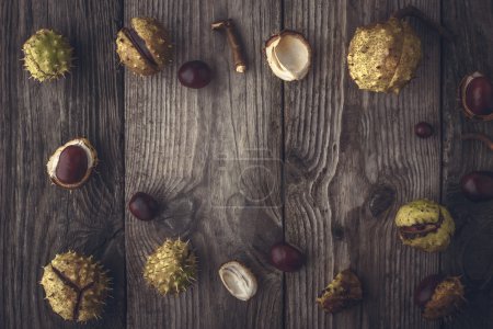 Photo for Frame of  the small and big chestnuts on the wooden background horizontal with film filter effect - Royalty Free Image