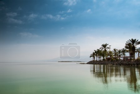 kinneret, Galiläa Meer, Israel, Tiberias See mit Palmen am Meeresufer ruhiges grünes Wasser und blauer Himmel. biblischer Ort, an dem Jesus auf dem Wasser wandelte