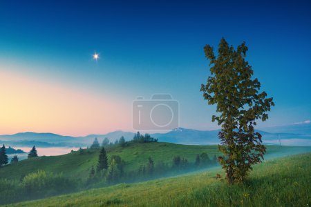 Téléchargez les photos : Lever de soleil coloré dans une vallée brumeuse de montagne des Carpates avec arbre solitaire sur une colline et lune dans un ciel
. - en image libre de droit