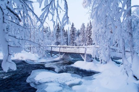 Puente de madera sobre rápidos fluidos del río durante un clima muy frío y helado en un verdadero paraíso invernal en la naturaleza finlandesa, norte de Europa.