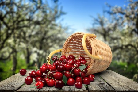 Cherry, Basket, Fruit.