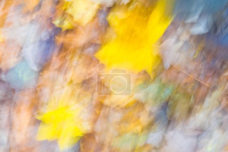 Abstracción de la naturaleza
