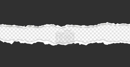 Ilustración de Tira rasgada, realista y rasgada de papel gris oscuro con una sombra clara sobre un fondo transparente. Cartón roto. Ilustración vectorial en estilo realista. - Imagen libre de derechos