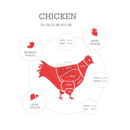 Ilustración de Carnicería concepto vector ilustración. Cortes de pollo. Diagrama de partes animales
. - Imagen libre de derechos