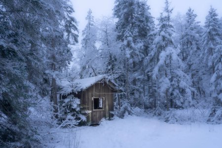 casa solitaria de madera en un profundo bosque de abeto nevado en los Alpes Allgaeu, Baviera Alemania casa solitaria de madera en un profundo bosque de abeto nevado en los Alpes Allgaeu, Baviera Alemania