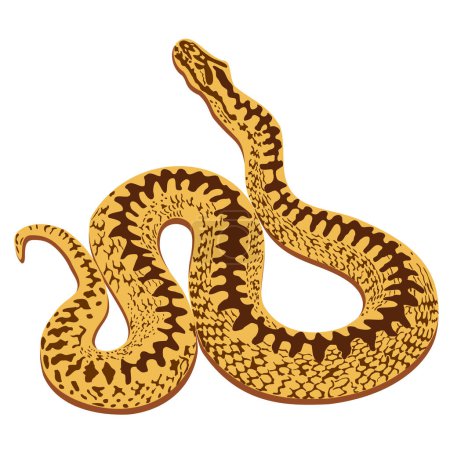 Vector isolated illustration of beige viper with brown spots.