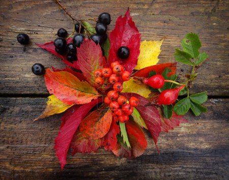 Hojas de otoño y tuerca sobre fondo de textura de madera
