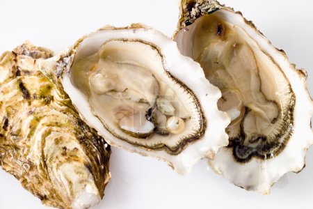 Ostra abierta con perla
Ostra abierta con perla