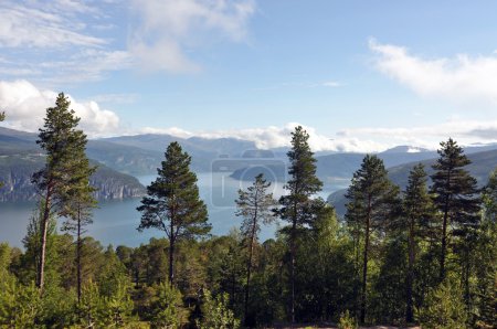 Téléchargez les photos : Il y a des montagnes plongeant dans la mer de centaines de mètres, des fjords, de hauts sommets montagneux, des aurores boréales et un soleil de minuit
. - en image libre de droit