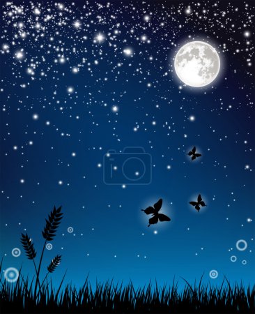 Noche de hadas
