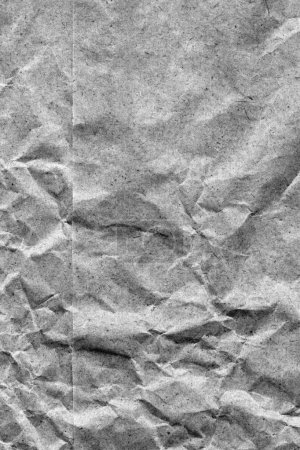 Gray Recycle Kraft Paper Bag Crumpled Grunge Texture Detail