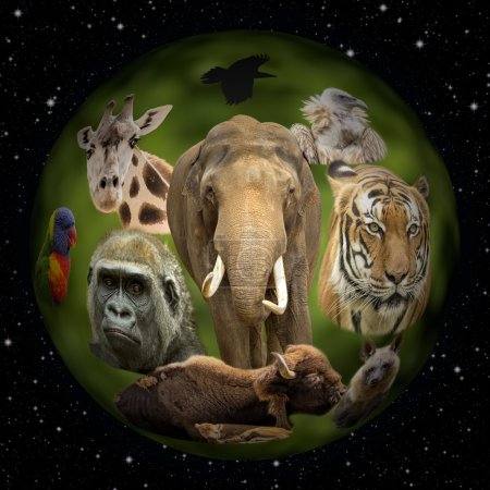 Photo for Planet Earth with animals in the Universe, concept illustration. - Royalty Free Image