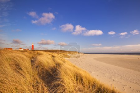 Faro en la isla de Texel en los Países Bajos a la luz de la mañana
