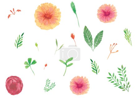 Elementos florales, plantas dibujadas a mano, colección de hojas y flores, flores y plantas aisladas sobre fondo blanco

