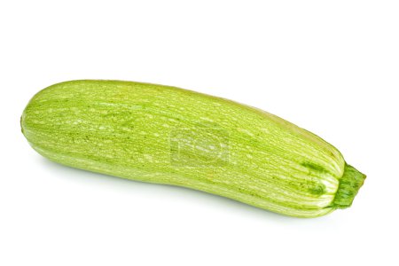 Photo for Fresh Green Zucchini Studio Photo - Royalty Free Image