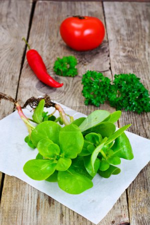 Fresh Green Purslane