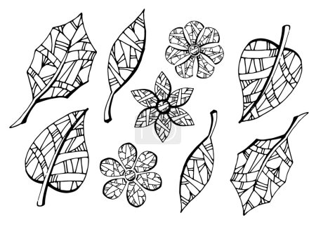 Ilustración de Colección de hojas y flores. Ilustración de stock de vector dibujado a mano en blanco y negro - Imagen libre de derechos
