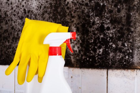 Photo for Preparation for the removal of mold and yellow gloves against the mold on wall. - Royalty Free Image