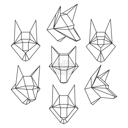 cabeza de lobo conjunto

