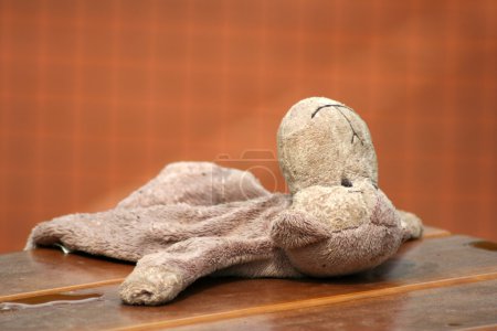 Abandoned stuffed toy lying on the table