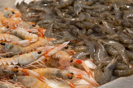 Photo for Fresh prawns in a local market in Spain - Royalty Free Image