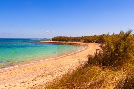 sommer.salento Küste: ein Naturschutzgebiet von torre guaceto.brindisi (apulia) -italien-summer.salento Küste: ein Naturschutzgebiet von torre guaceto.brindisi (apulia) -italy- ein Naturschutzgebiet zwischen Land und Meer.