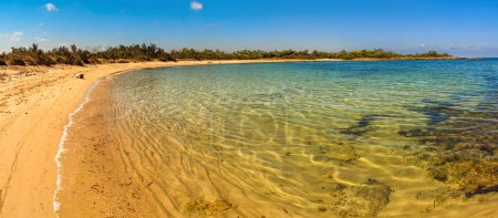 Summer seascape: a nature reserve of Torre Guaceto.BRINDISI (Apulia)-ITALY-Mediterranean maquis: a nature sanctuary between the land and the sea.