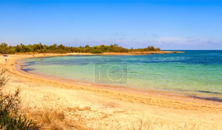 Côte du Salento : une réserve naturelle de Torre Guaceto.BRINDISI (Pouilles) -ITALIE-SUMMER.Côte du Salento : une réserve naturelle de Torre Guaceto.BRINDISI (Pouilles) -ITALIE Un sanctuaire naturel entre la terre et la mer
.