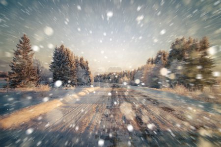 Camino de invierno con árboles
