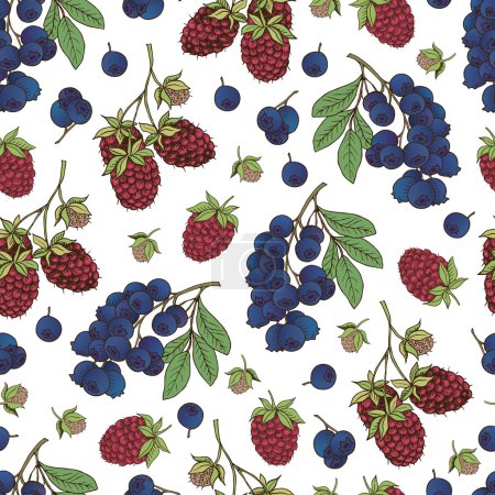 Photo for Vector hand drawn seamless pattern with berries (raspberry, bilberry, blueberry) - Royalty Free Image