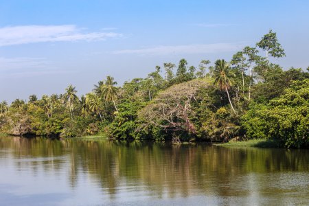 Foto de Hermoso paisaje con palmeras tropicales en la playa - Imagen libre de derechos