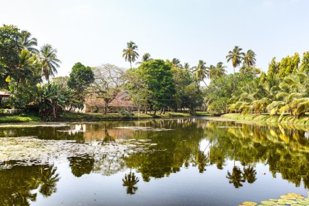 Foto de Hermoso lago de paisaje, playa de palmeras tropicales. Sri Lanka - Imagen libre de derechos