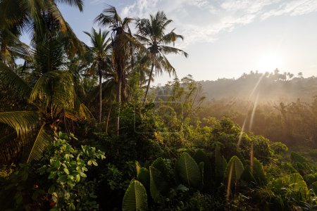 landscape with tropical beach