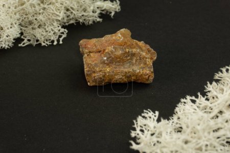 Foto de Andalusita de Brasil o China. Piedra mineral natural sobre fondo negro rodeada de musgo. Mineralogía, geología, magia, piedras semipreciosas y muestras de minerales. Fotografía macro de primer plano. - Imagen libre de derechos